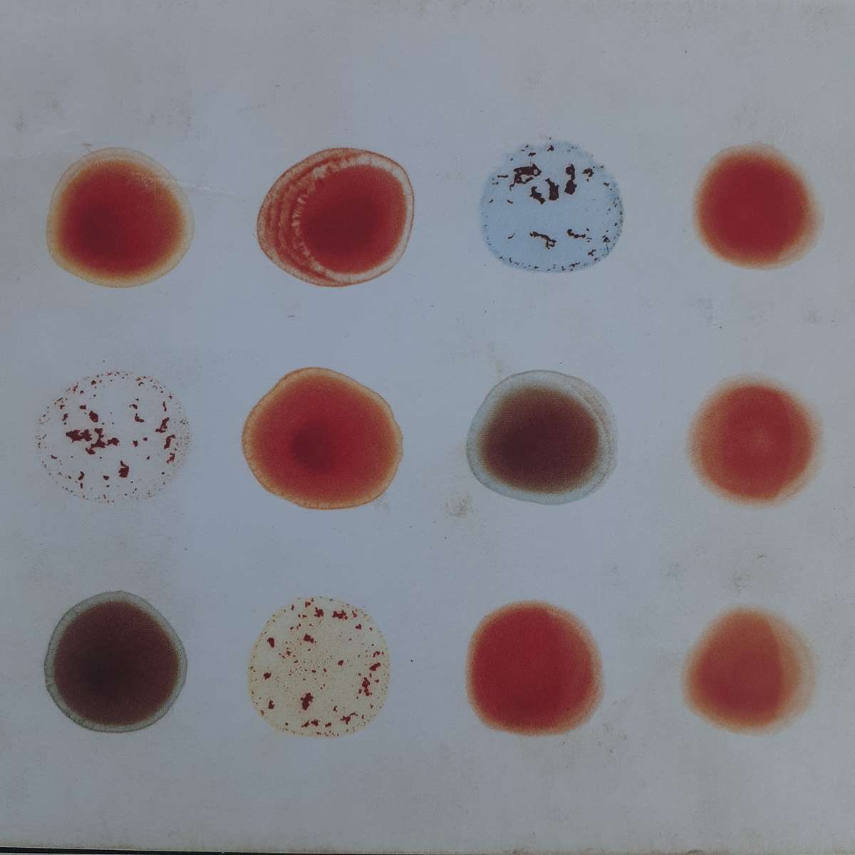 Peter Gabriel - Scratch My Back / And I'll Scratch Yours (2CD Import Digipak) (2013)