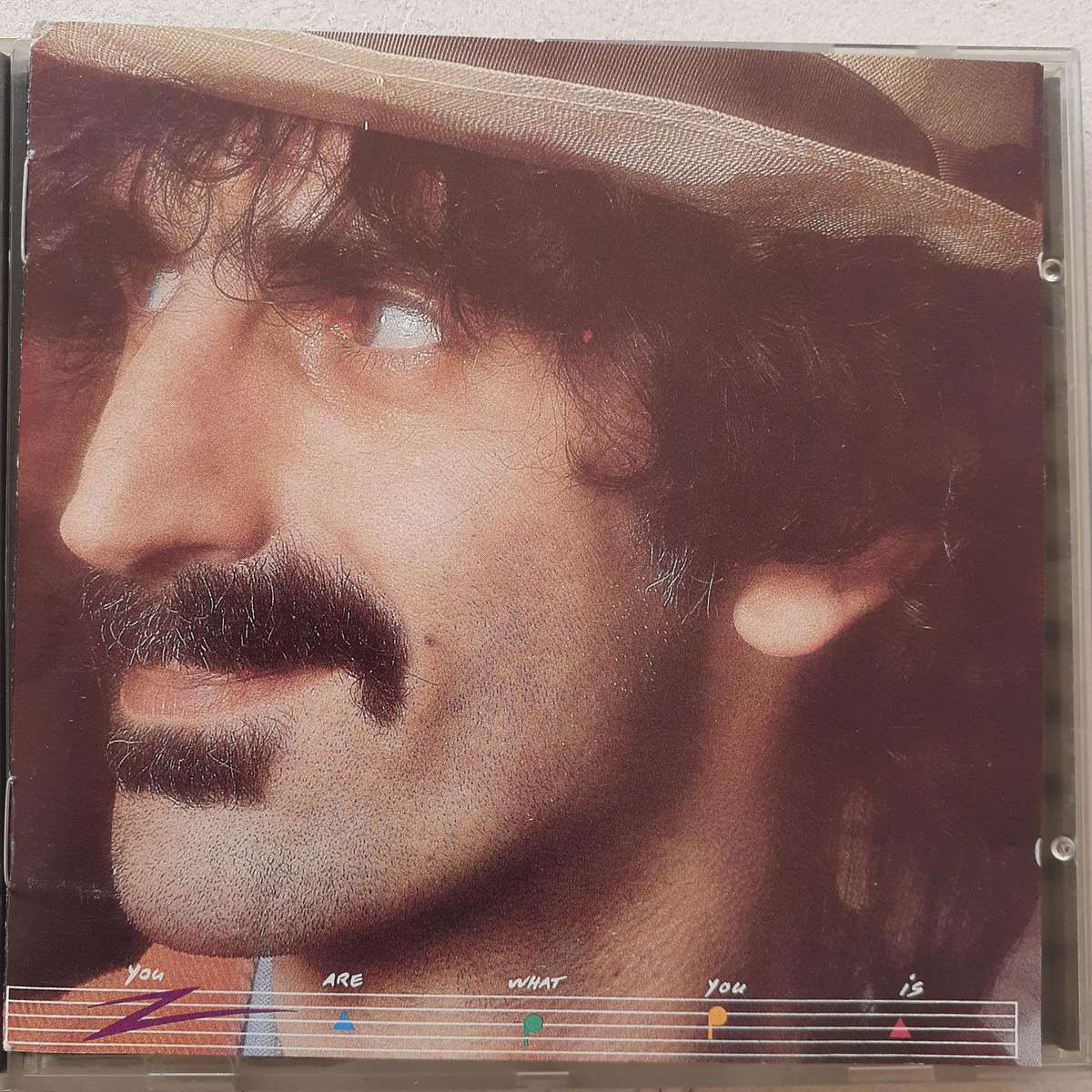 Frank Zappa - You Are What You Is (1981)