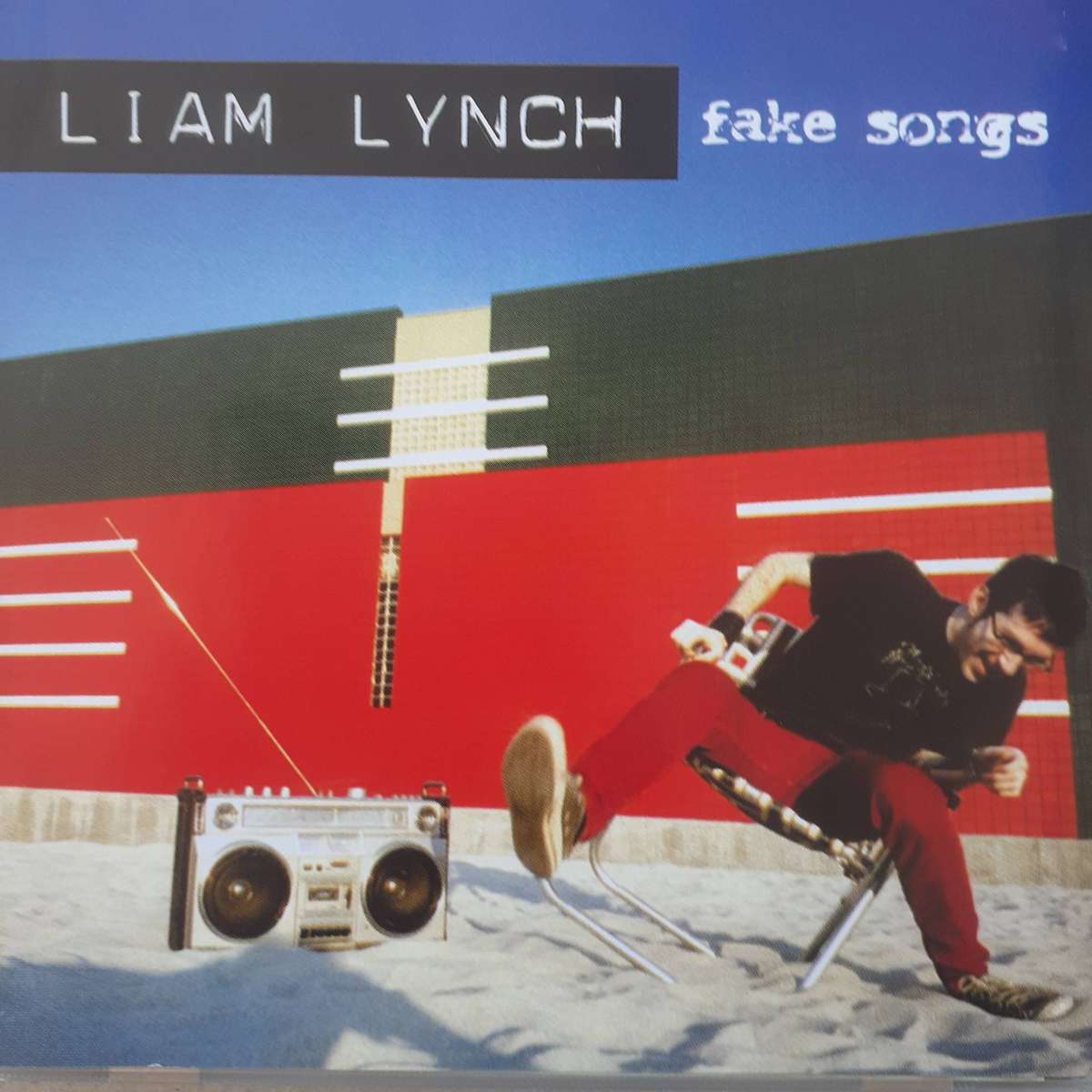 Liam Lynch - Fake Songs [CD + DVD] (2003)