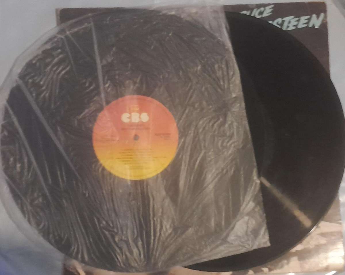 Bruce Springsteen The River Double Vinyl