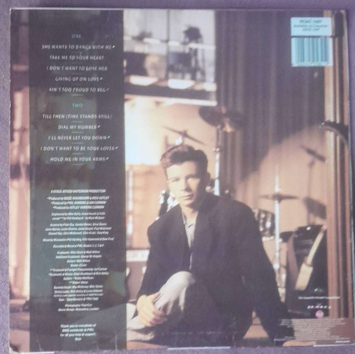 Rick Astley Hold Me In Your Arms Vinyl