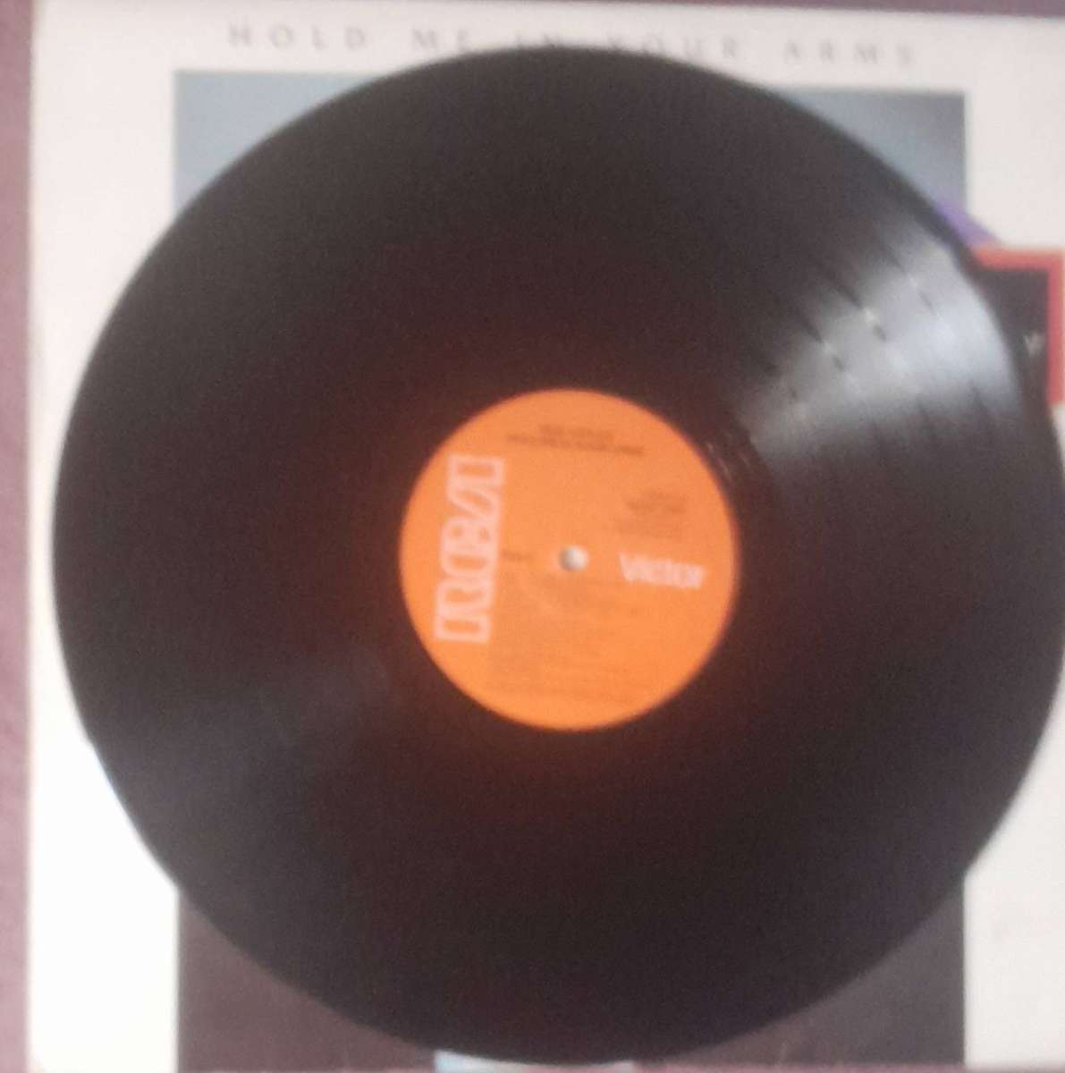 Rick Astley Hold Me In Your Arms Vinyl