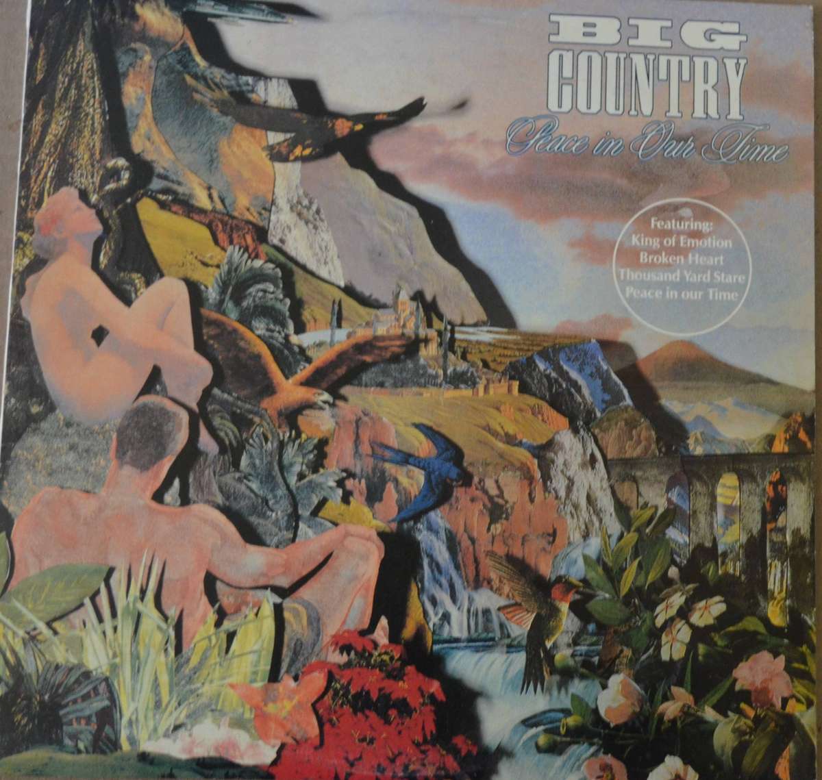 Big Country Peace in Our Time Vinyl/LP