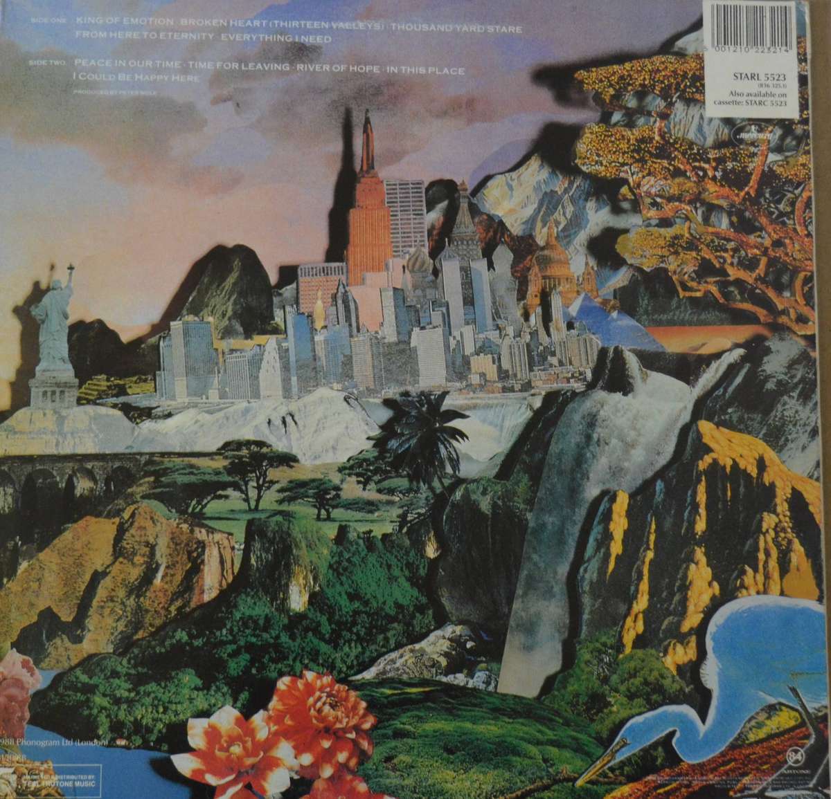 Big Country Peace in Our Time Vinyl/LP