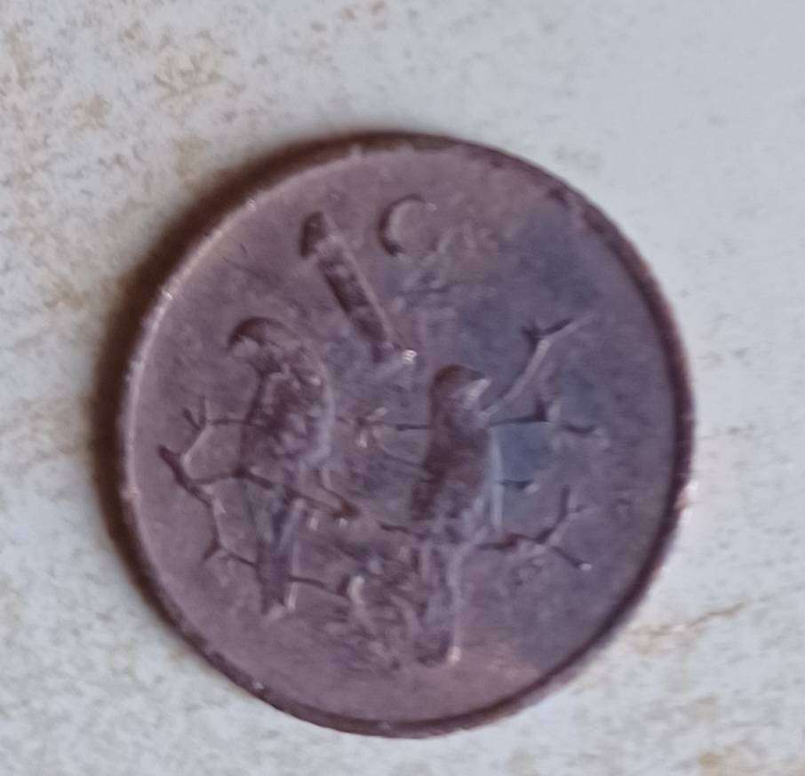 1 Cent  South Africa 1969 Afrikaans