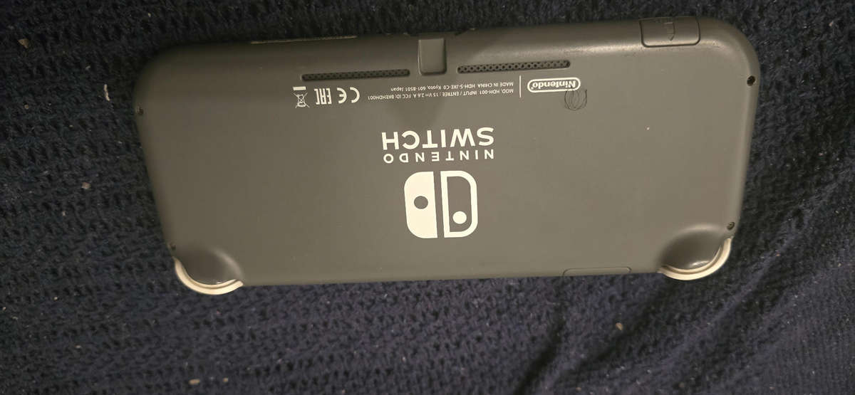 Modded switch lite