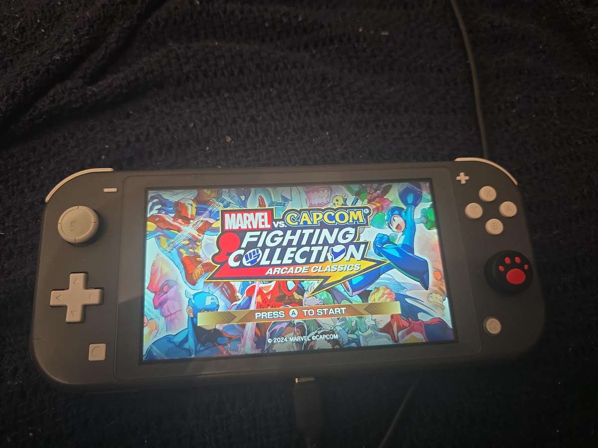 Modded switch lite
