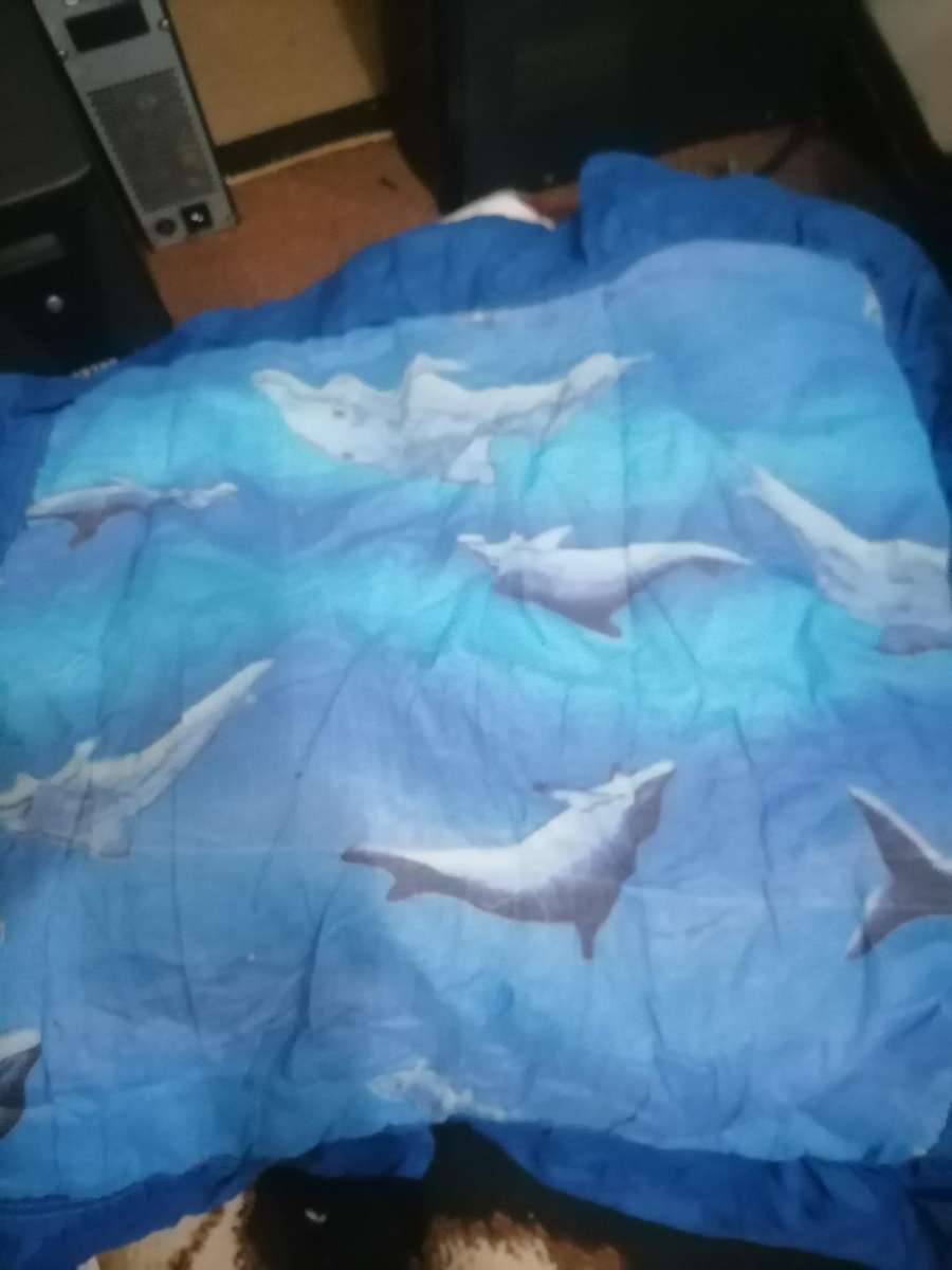 *WEEKEND SPECIAL*LAST OF THIS LOT*Pillow Cases, Normal Size + Continental Size, One Bid for the Lot