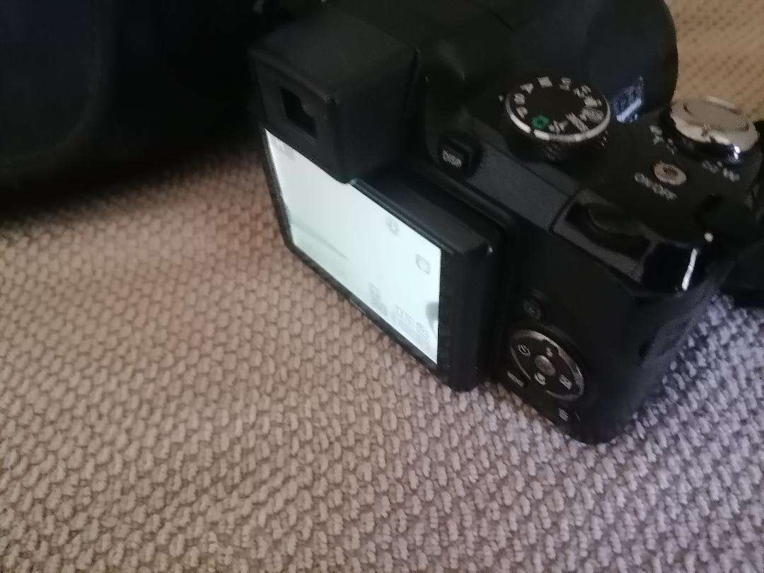 Nikon Coolpix P90 Camera with Tilt LCD Screen, Charger, 2 Batteries, in Bag