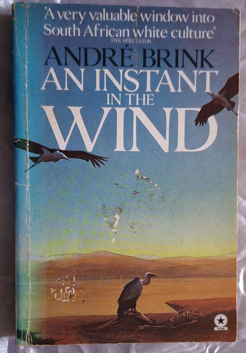An Instant in the Wind by Andre Brink Paperback
