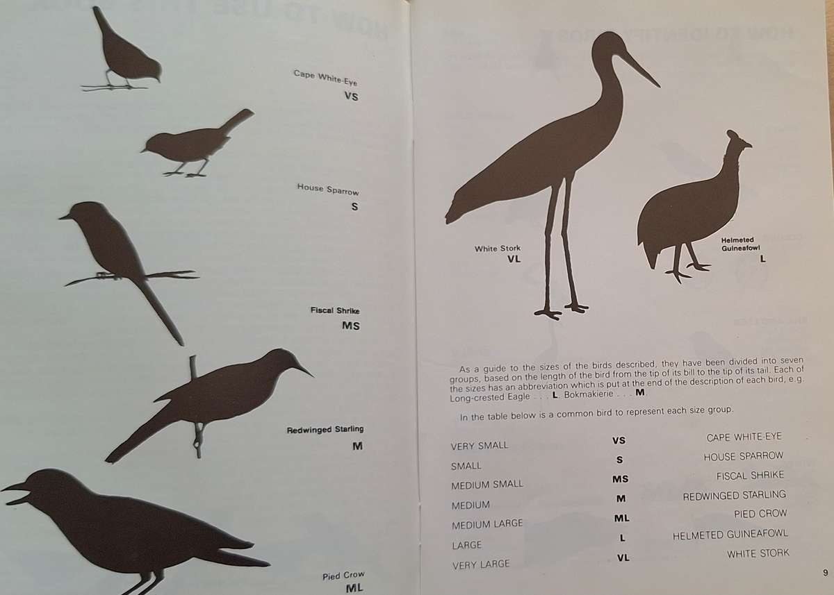 A Beginners Guide to Our Birds by Jo Oliver Paperback A Wildlife Handbook