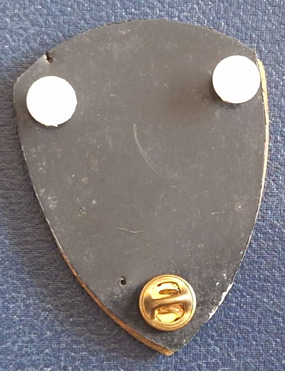 SADF 1 Military Hospital Metal Flash