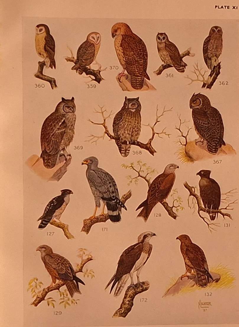 The Birds of South Africa by Dr Austin Roberts Hardcover 1942 Third Impression