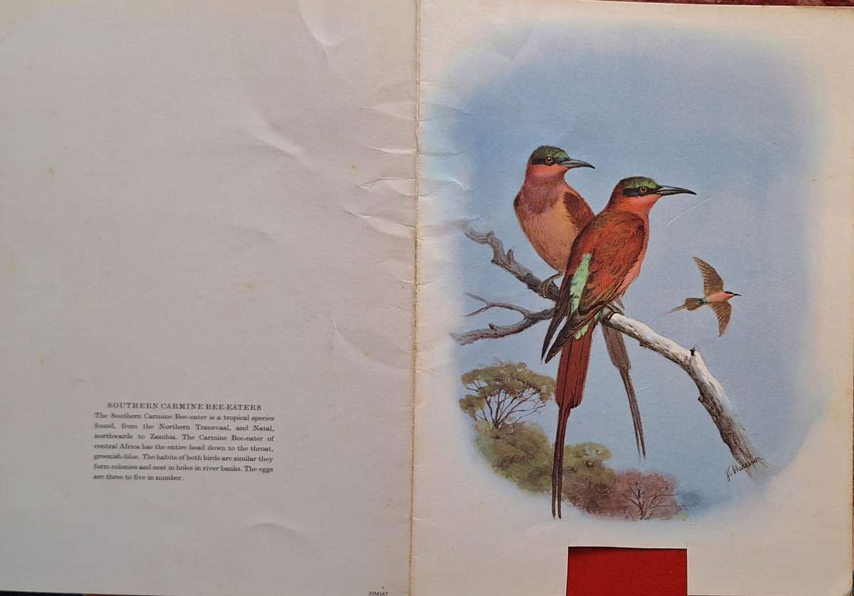 Union-Castle Safmarine RMS Windsor Castle First Class Dinner Menu 1969