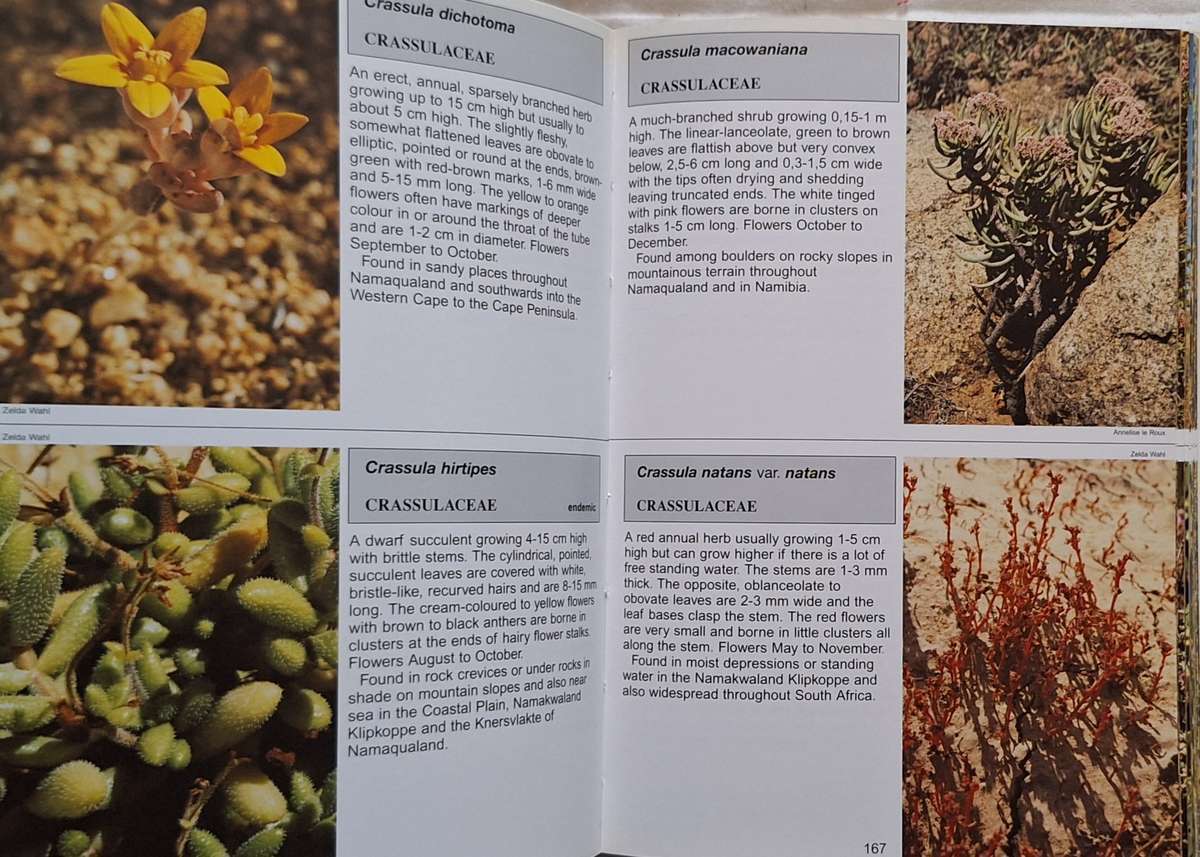 Namaqualand South African Wild Flower Guide 1 Text by Annelise le Roux  2005 3rd Revised Edition