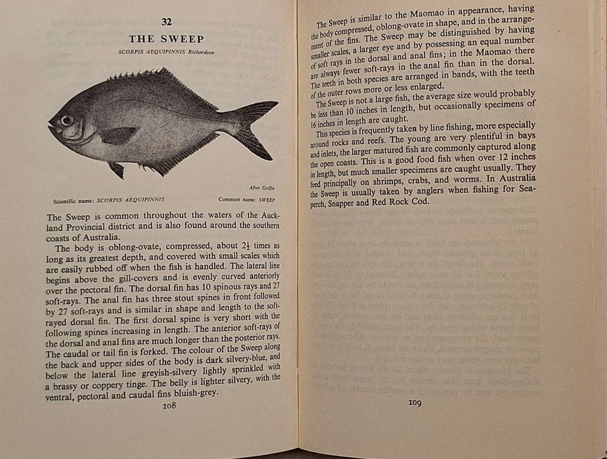 Sea Anglers' Fishes of New Zealand by Arthur W Parrott Hardcover 1957