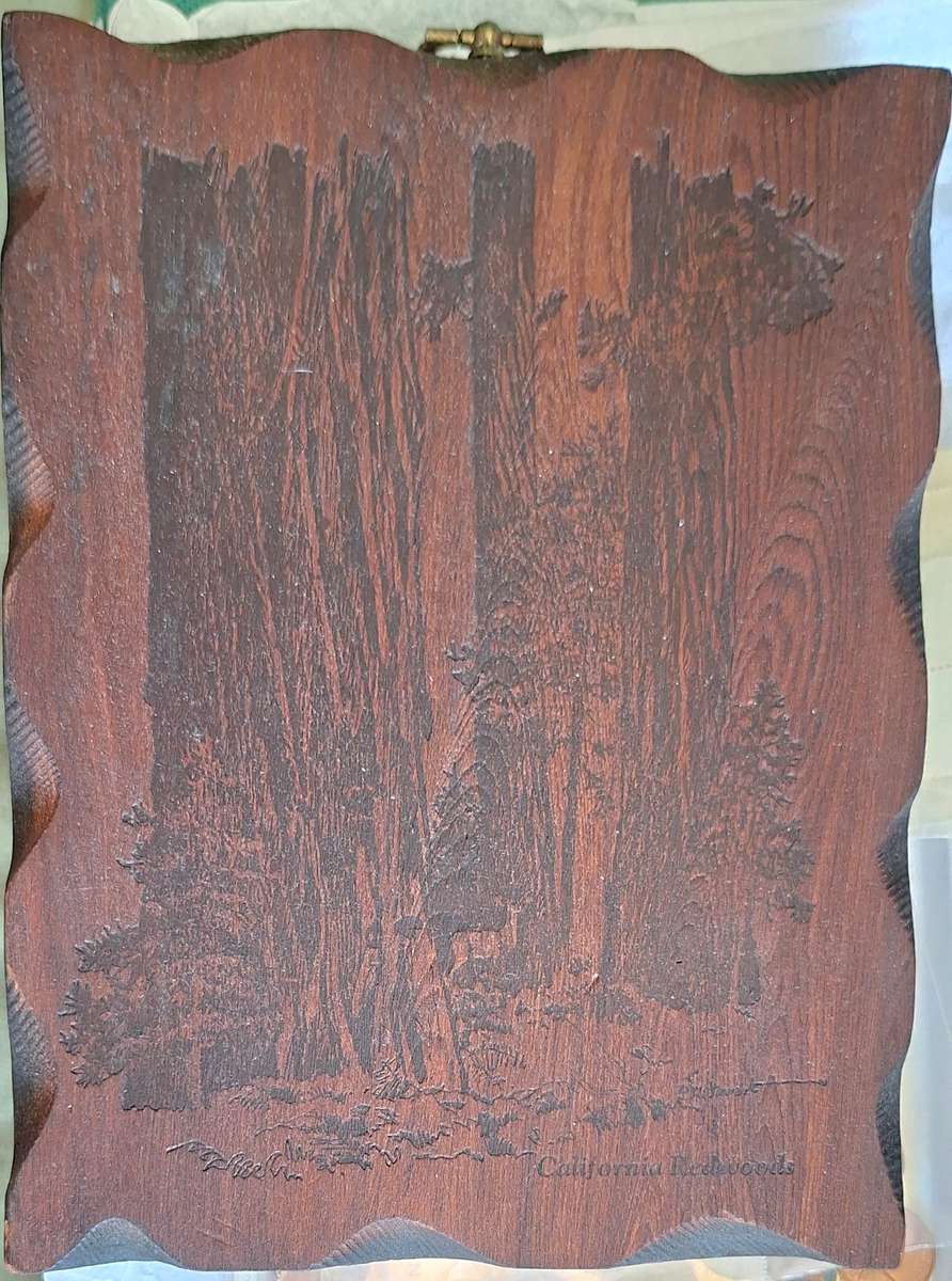California Redwoods Plaque with metal hanging hook