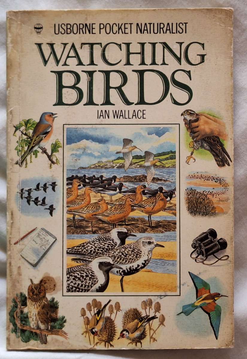 Watching Birds by Ian Wallace Paperback
