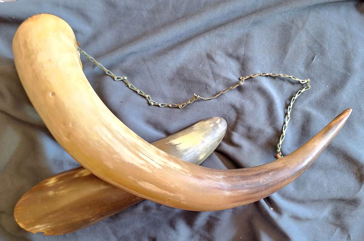 Vintage Chain Mounted Horn Wall Hanging