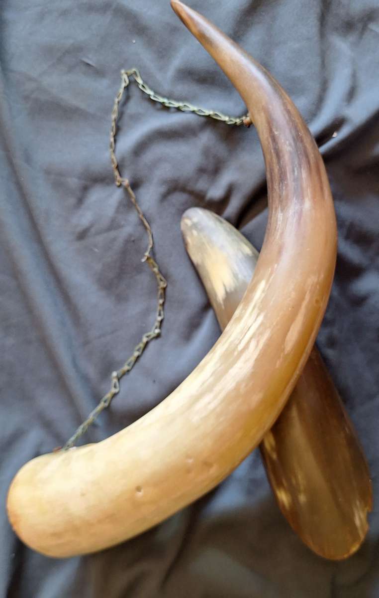 Vintage Chain Mounted Horn Wall Hanging