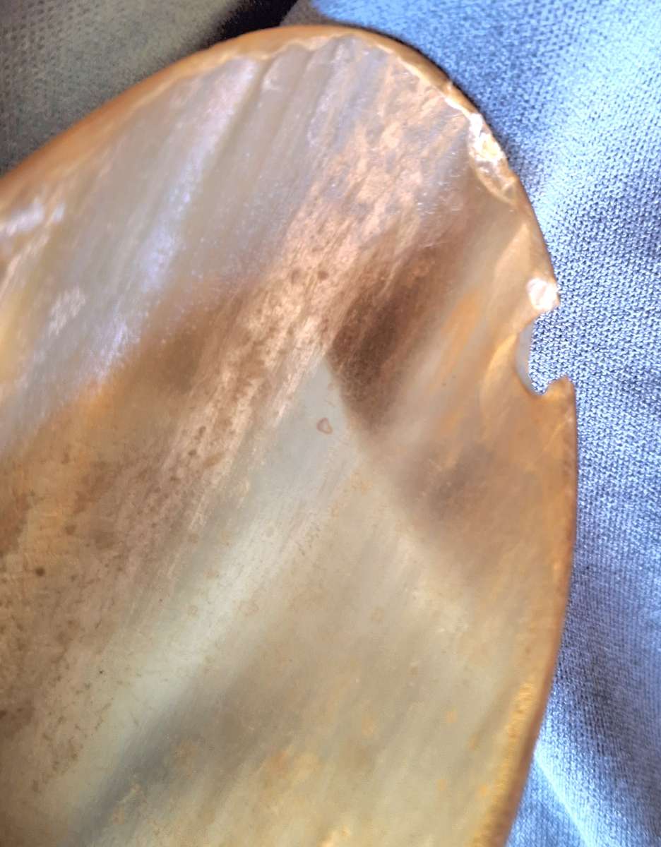 Vintage Chain Mounted Horn Wall Hanging