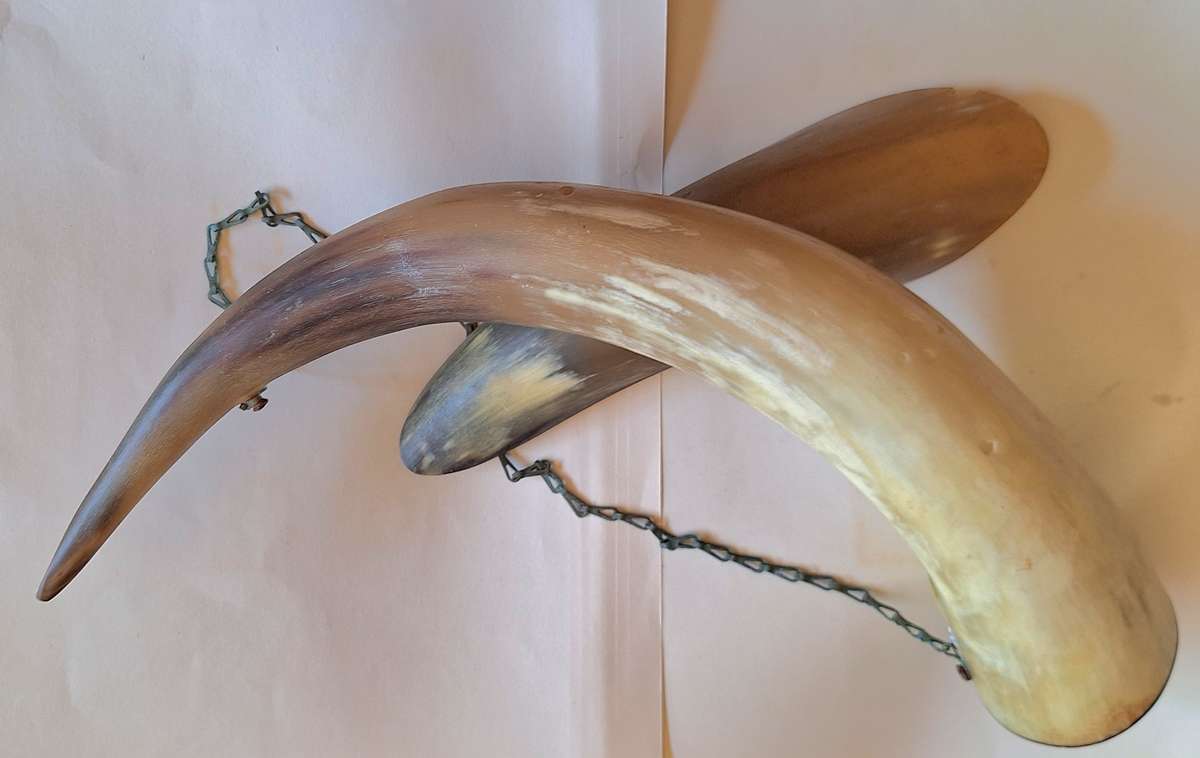 Vintage Chain Mounted Horn Wall Hanging