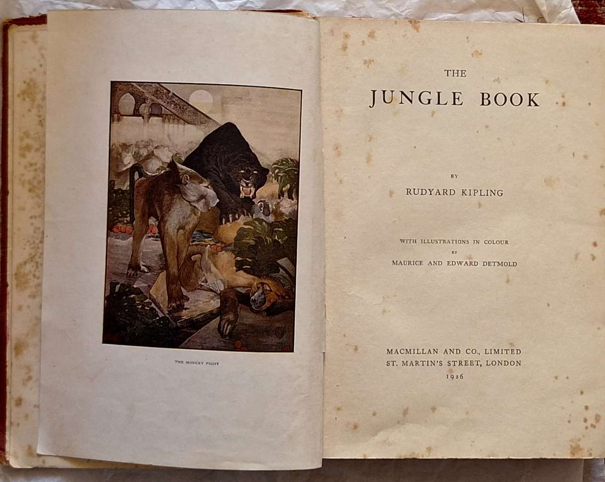 The Jungle Book by Rudyard Kipling Hardcover 1926 Illustrations by M & E Detmold
