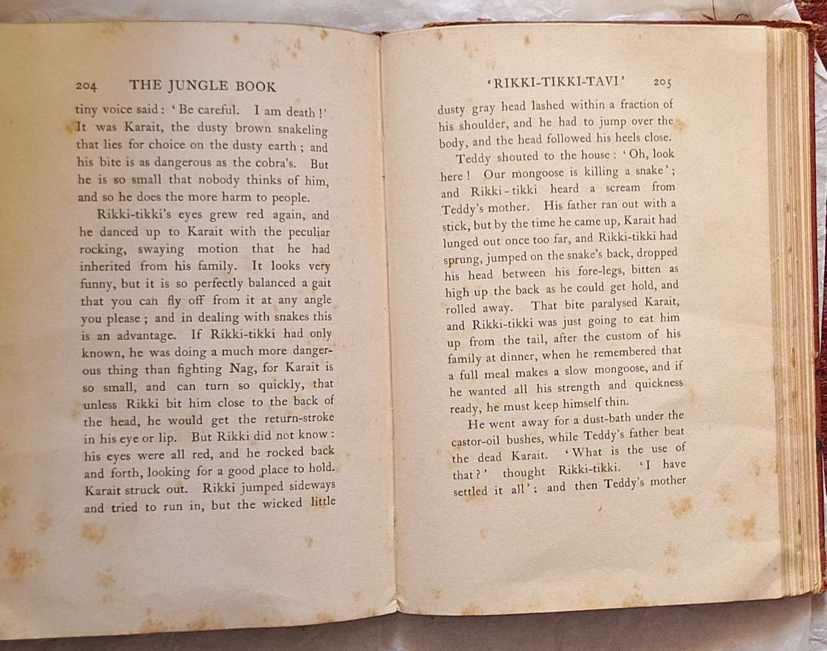 The Jungle Book by Rudyard Kipling Hardcover 1926 Illustrations by M & E Detmold