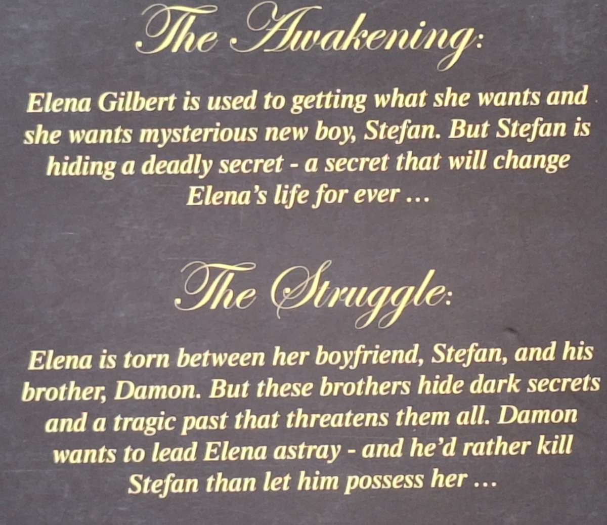 Vampire Diaries: The Awakening and The Struggle by L J Smith Paperback