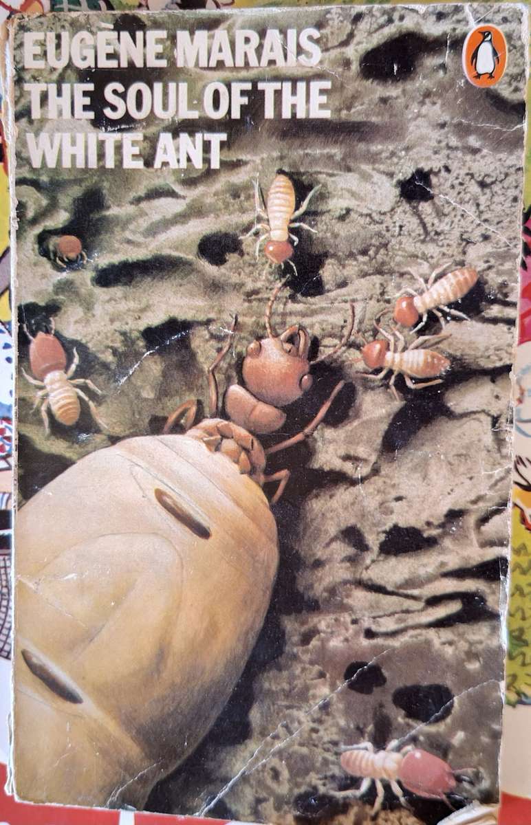 The Soul of the White Ant by Eugene Marais Paperback