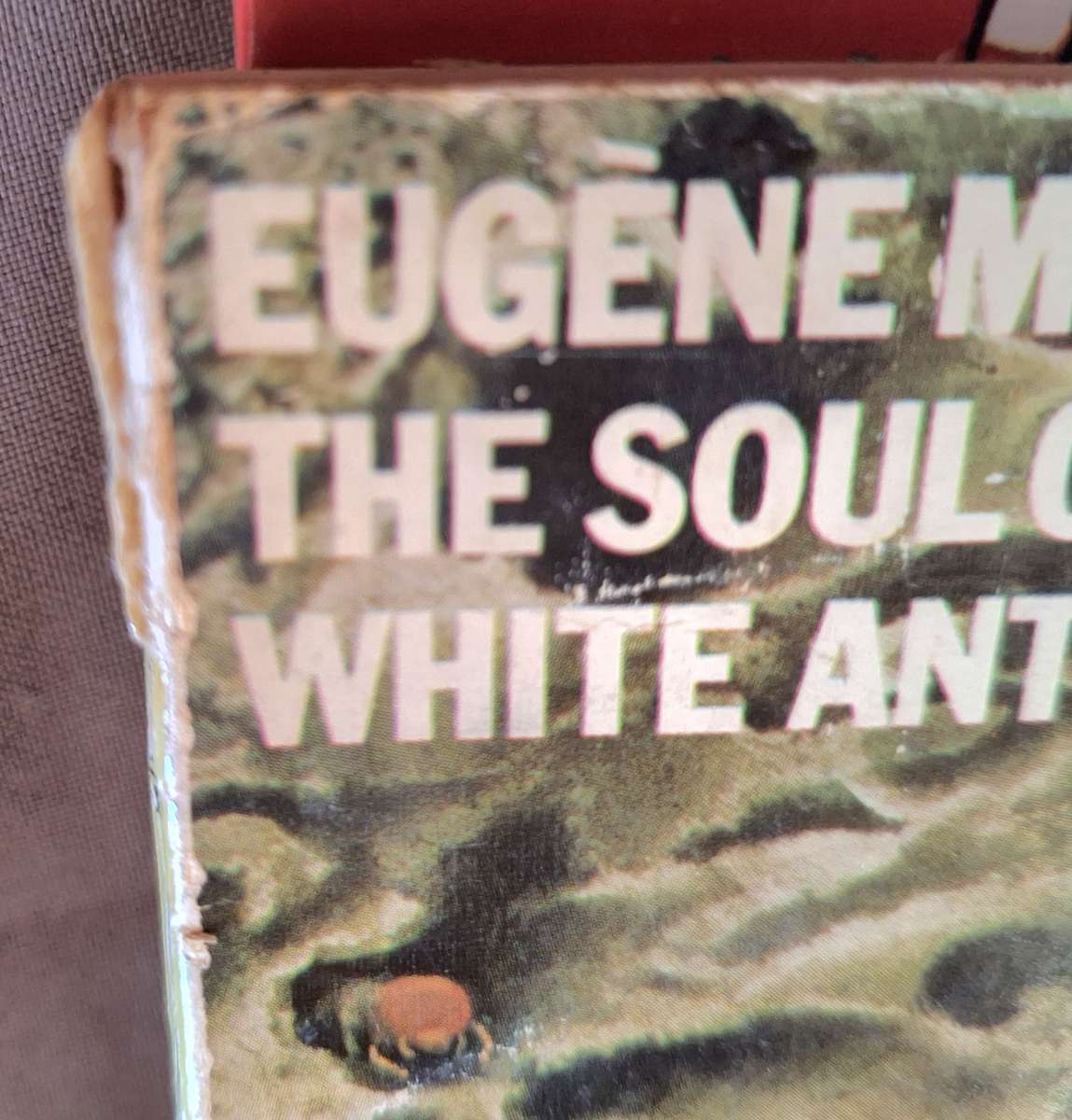 The Soul of the White Ant by Eugene Marais Paperback