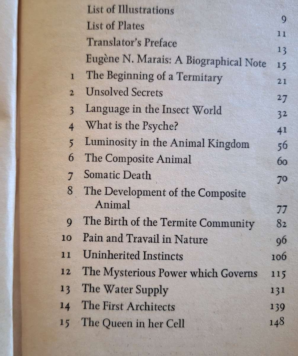 The Soul of the White Ant by Eugene Marais Paperback