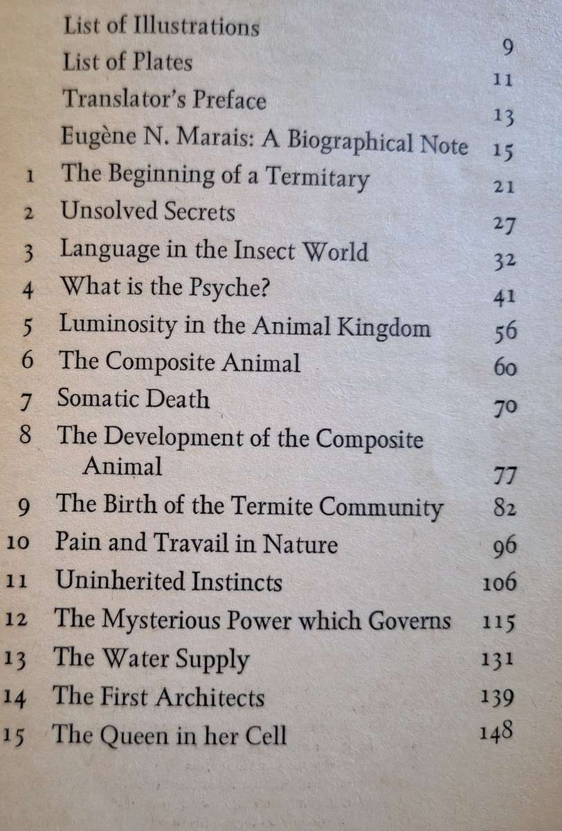 The Soul of the White Ant by Eugene Marais Paperback