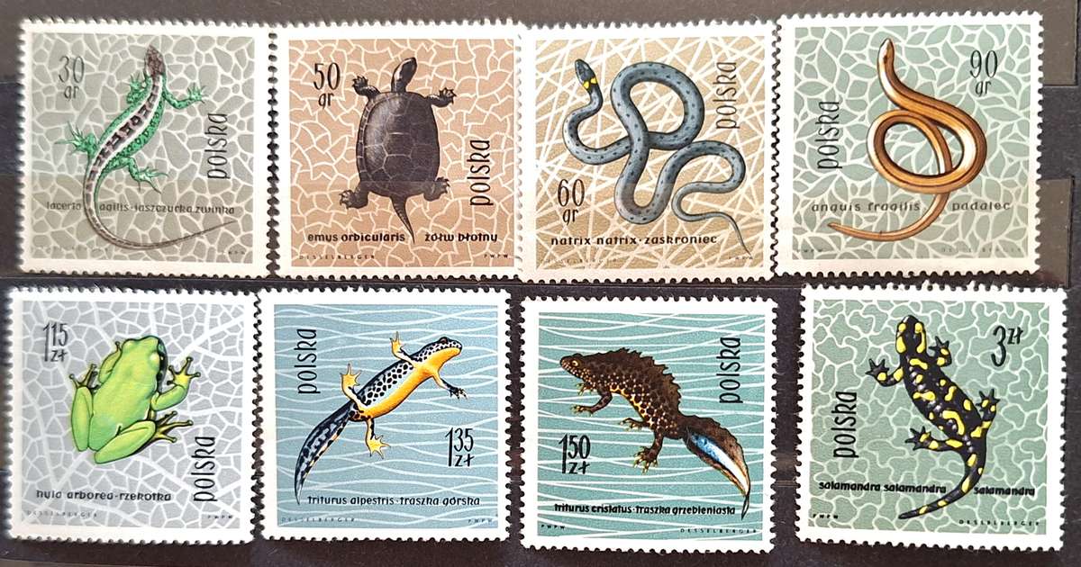 Poland 1963 Fauna Snake Lizard  8 Mint stamps