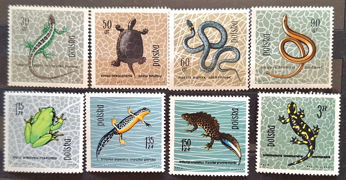 Poland 1963 Fauna Snake Lizard  8 Mint stamps