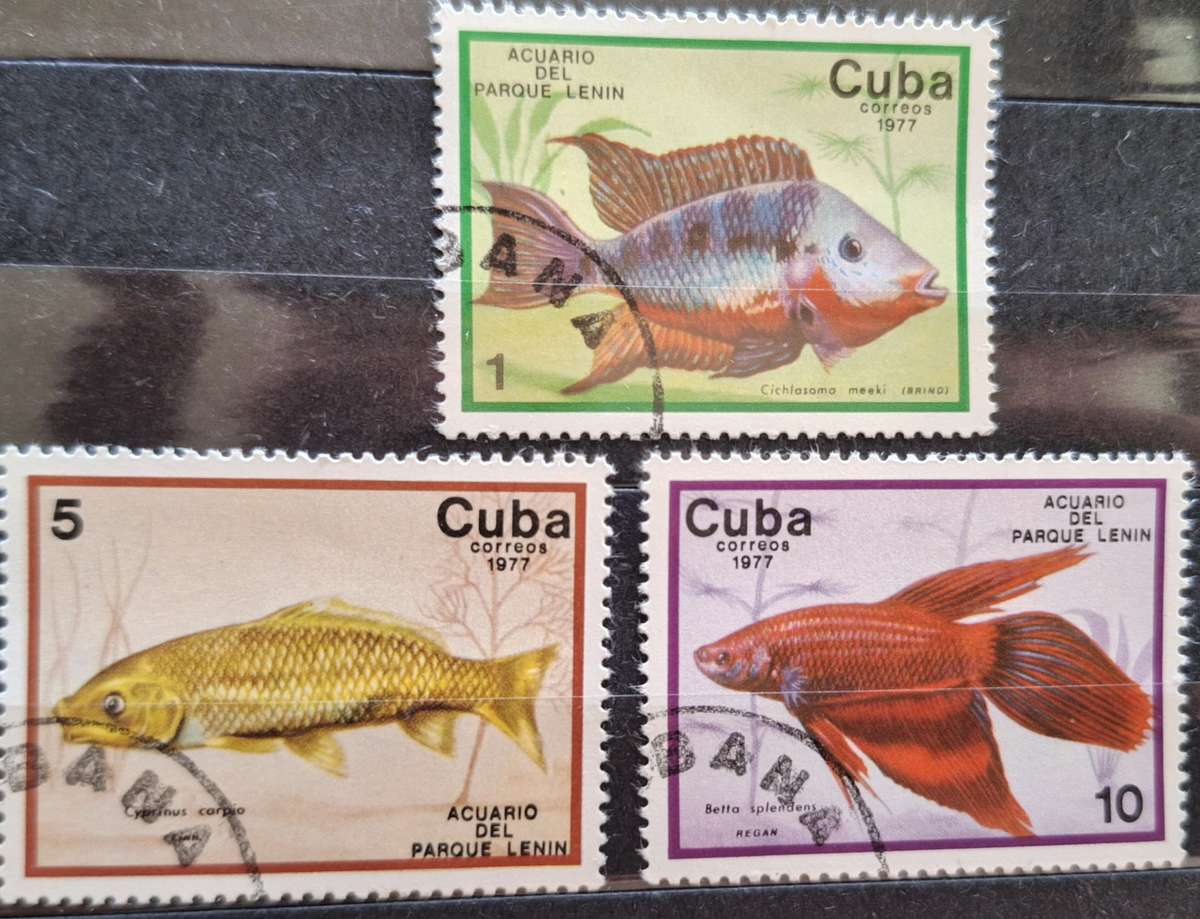Cuba 1977 Fish 3 Used stamps