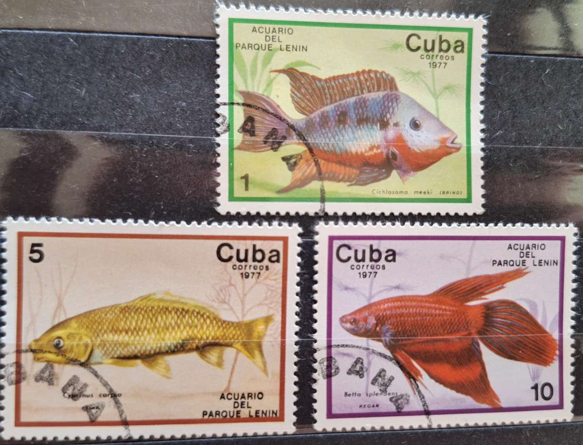 Cuba 1977 Fish 3 Used stamps