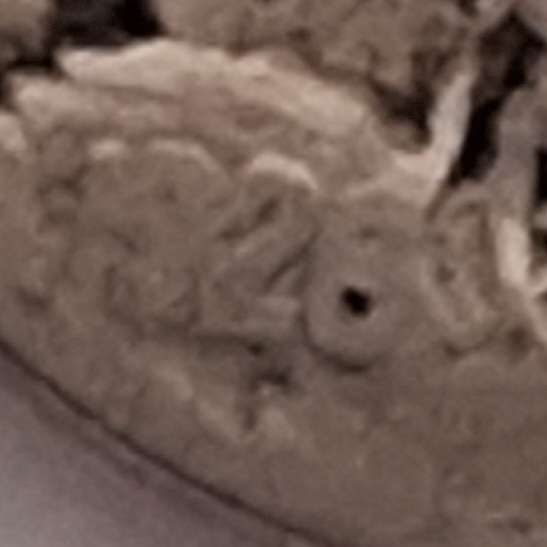 United States of America 1928 5 Cents "Buffalo Nickel" Copper-nickel