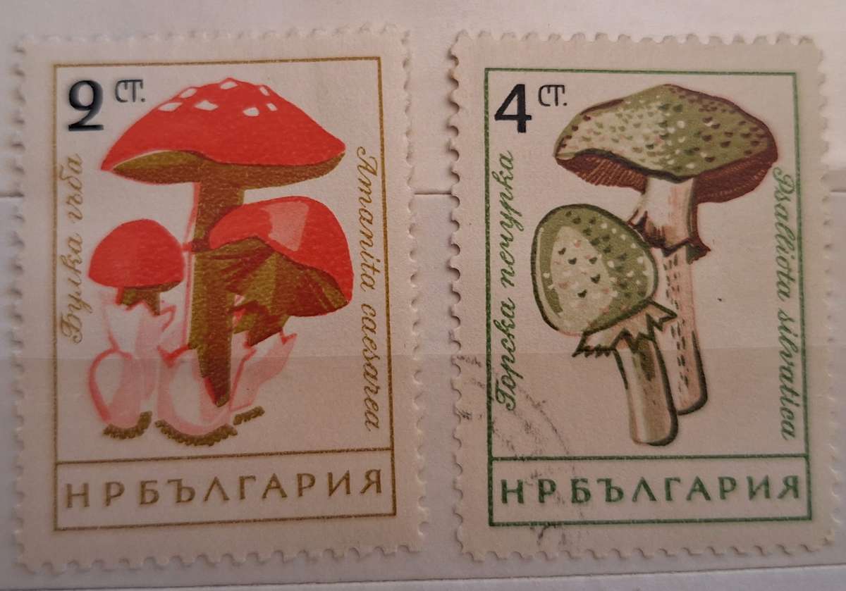 Bulgaria 1961 Mushrooms 2 Cancelled Hinged stamps