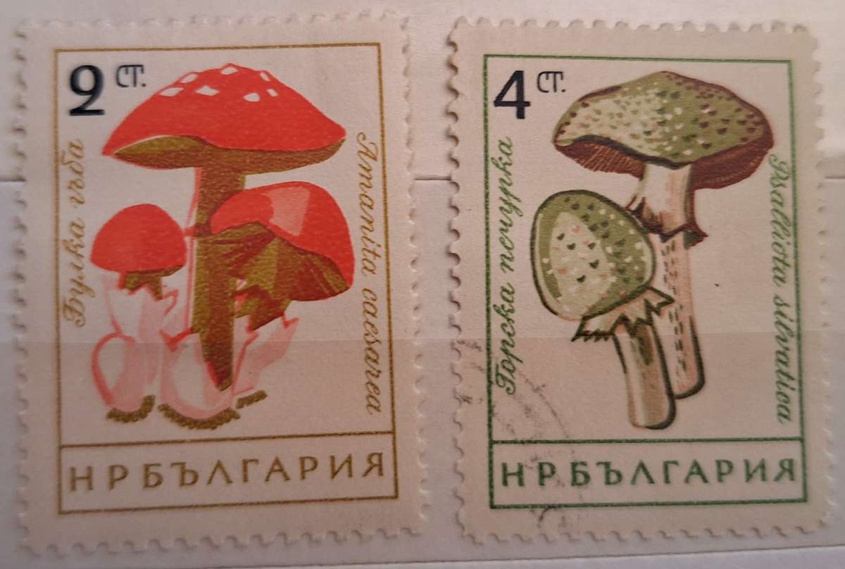 Bulgaria 1961 Mushrooms 2 Cancelled Hinged stamps
