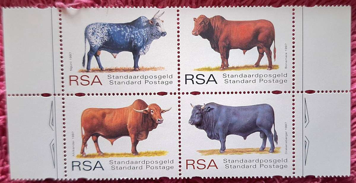 South Africa 1997 Indigenous Cattle FDC 6.64 and Block of 4 Mint stamps