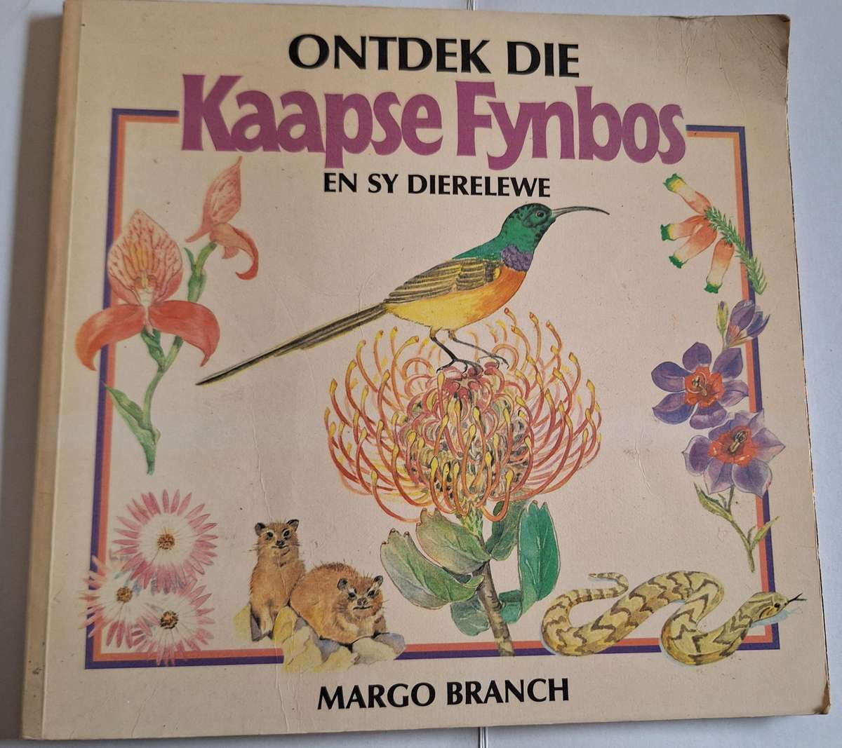 Ontdek die Kaapse Fynbos en sy Dierelewe deur Margo Branch Sagteband