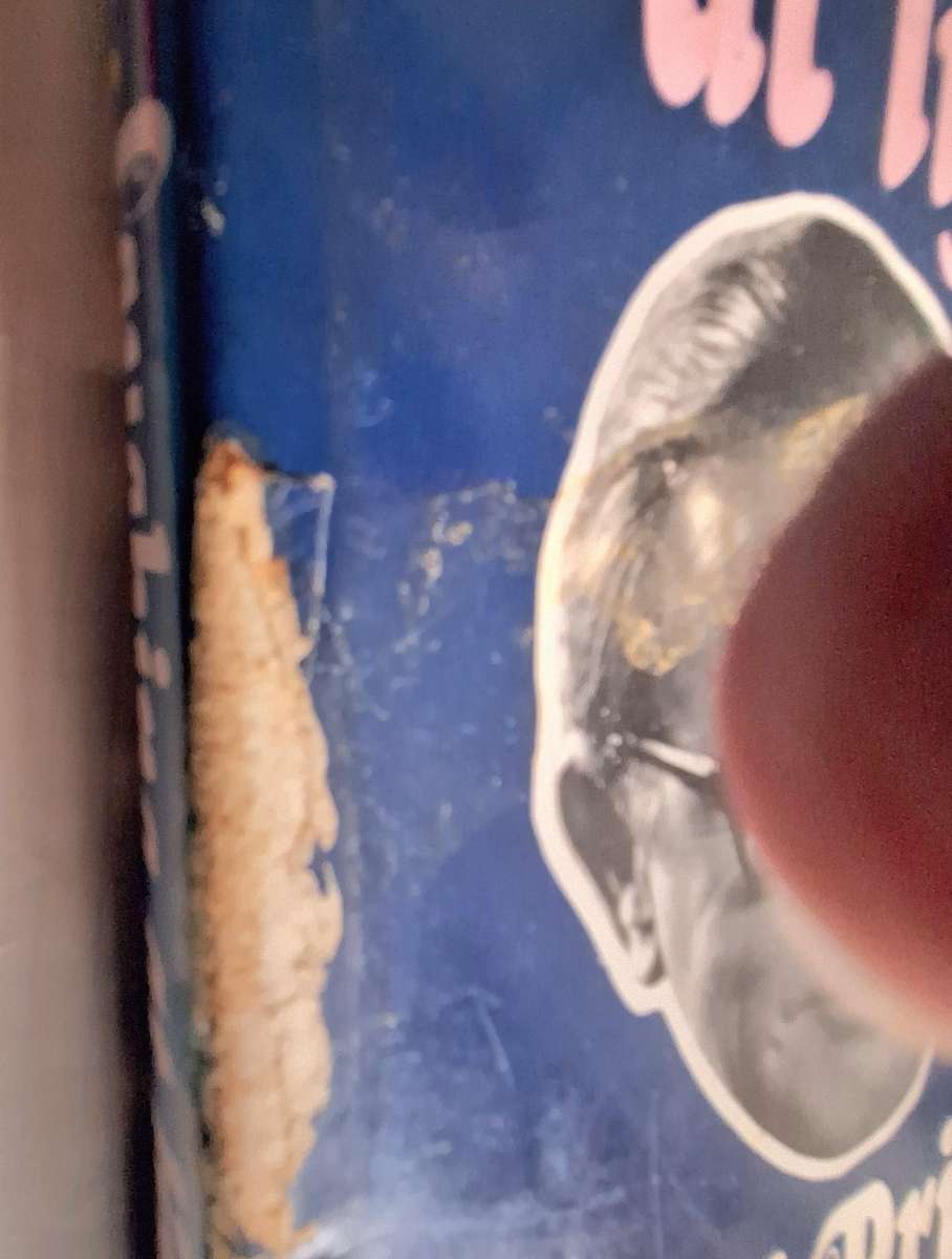 Laughing at Life by Bill Prince Hardcover 1975