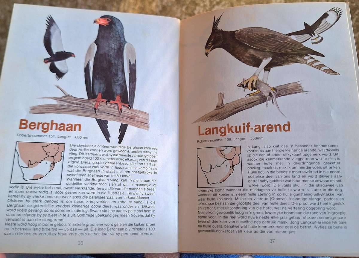 Caltex Maak Kennis met Roofvoels