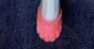 Aluminium Handle Walking Stick with Rubber Tip