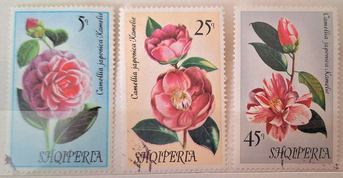 Albania 1972 Flowers 3 Cancelled Hinged stamps