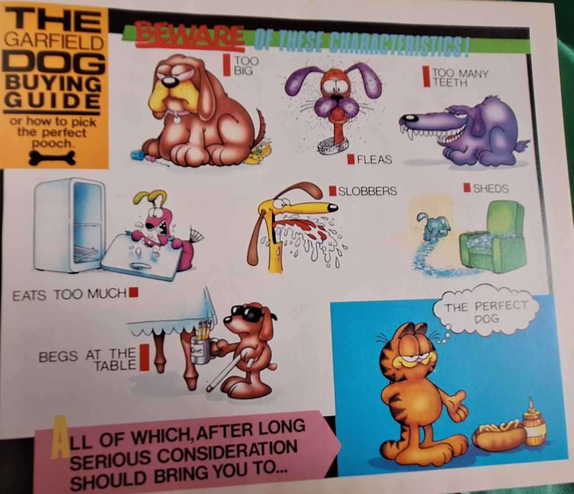 The Garfield Super Treasury by Jim David