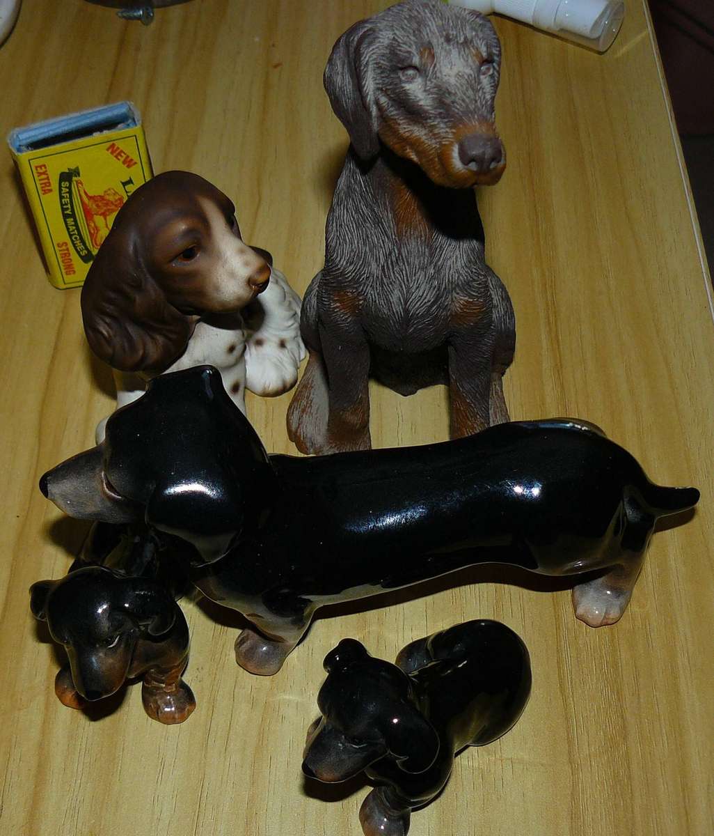 DOG GROUP X 5 ALL FOR ONE BID
