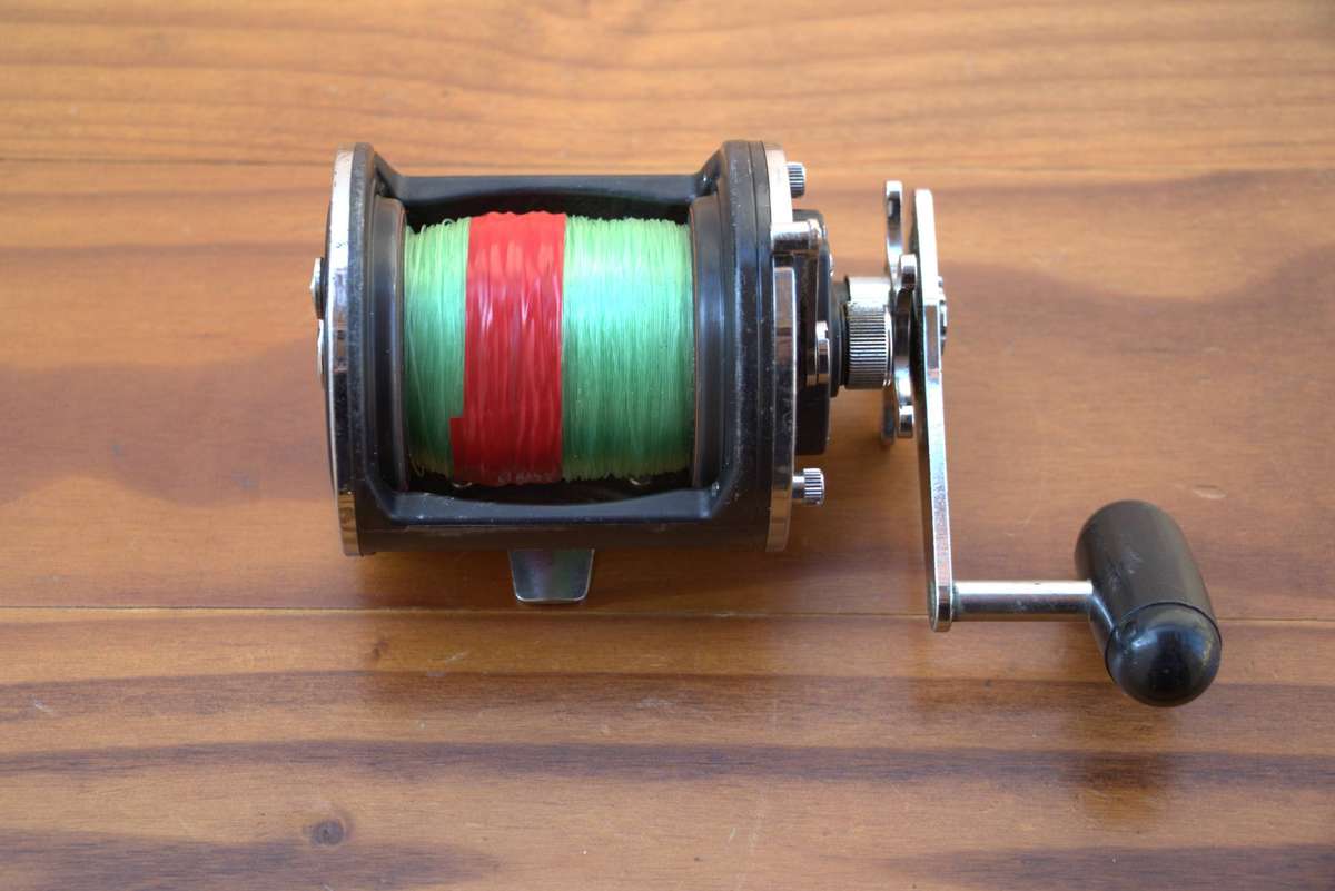 DAIWA SEALINE 50H FISHING REEL