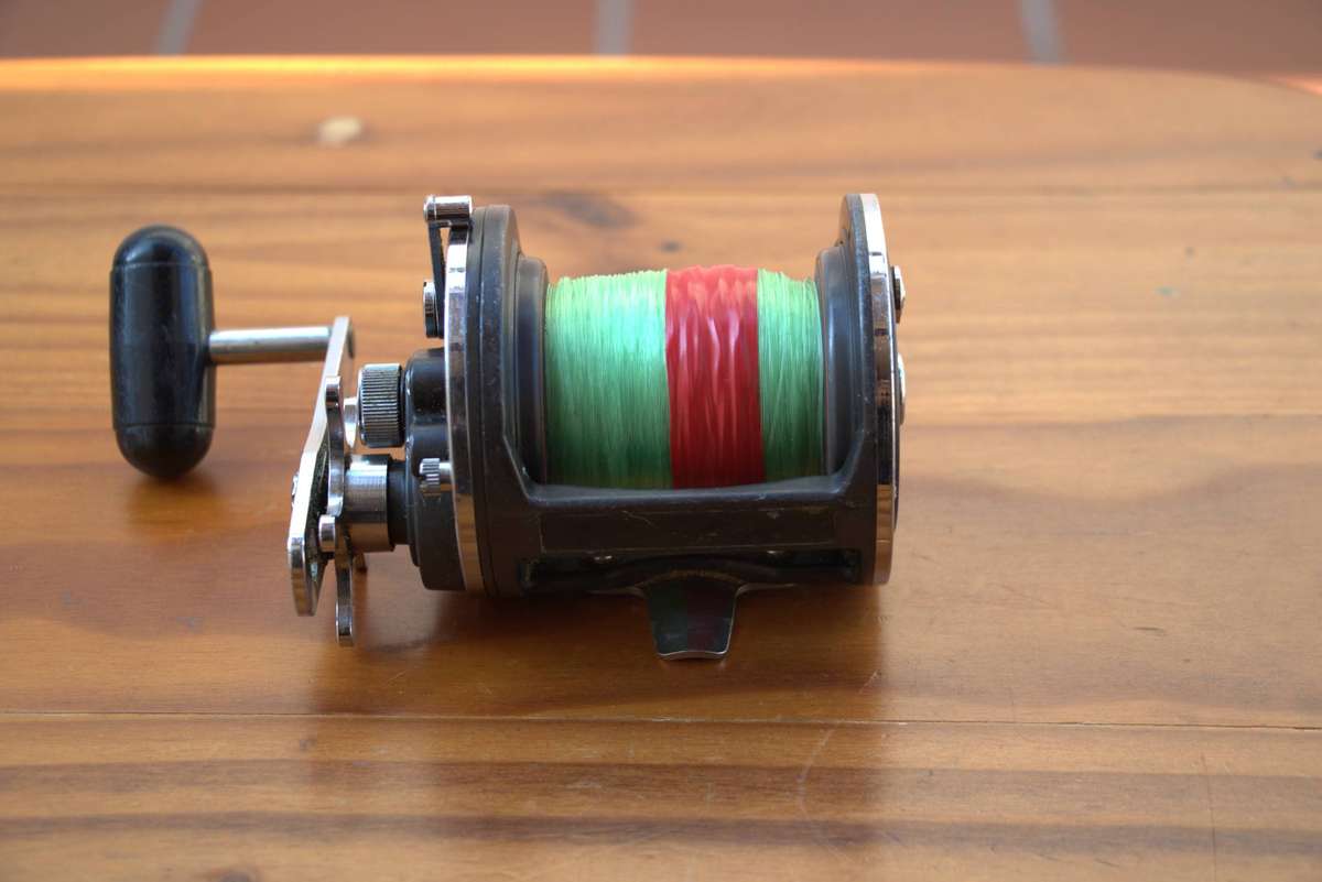DAIWA SEALINE 50H FISHING REEL